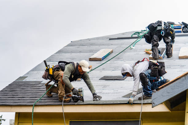 Professional Emergency Roof Repair technician working in Stockton, IA